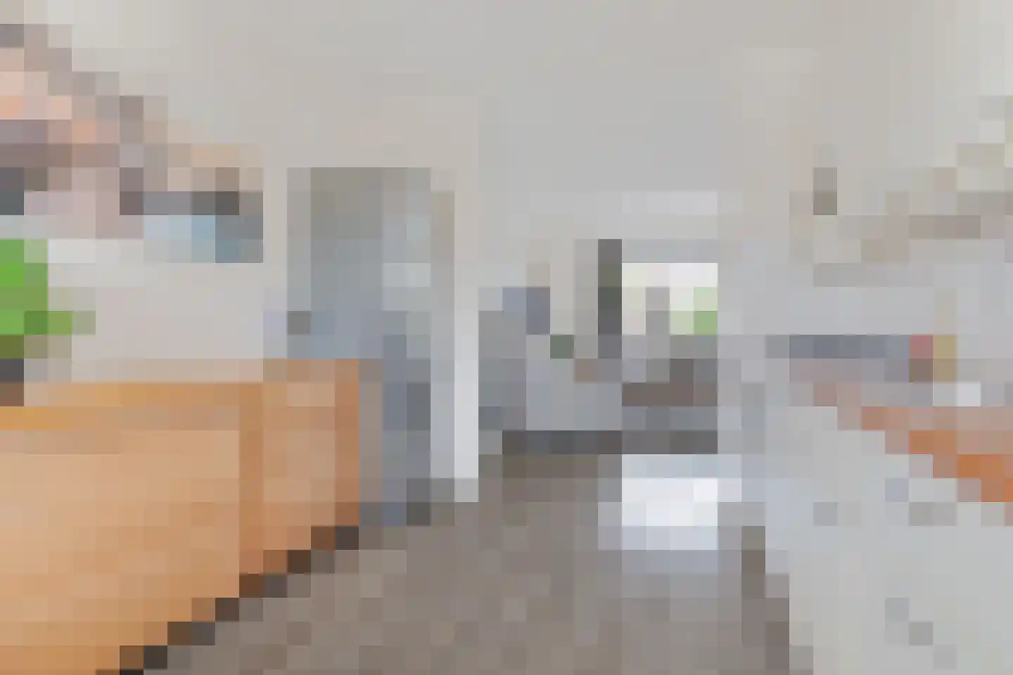 Kolibrievlinder 35 Enschede thumbnail 16