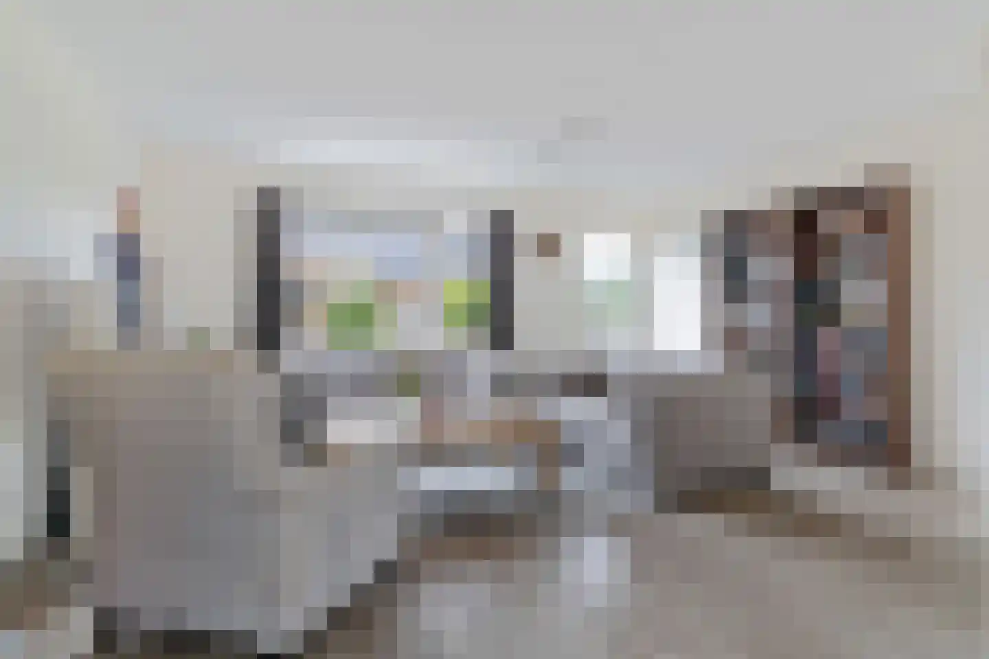 Kolibrievlinder 35 Enschede thumbnail 17