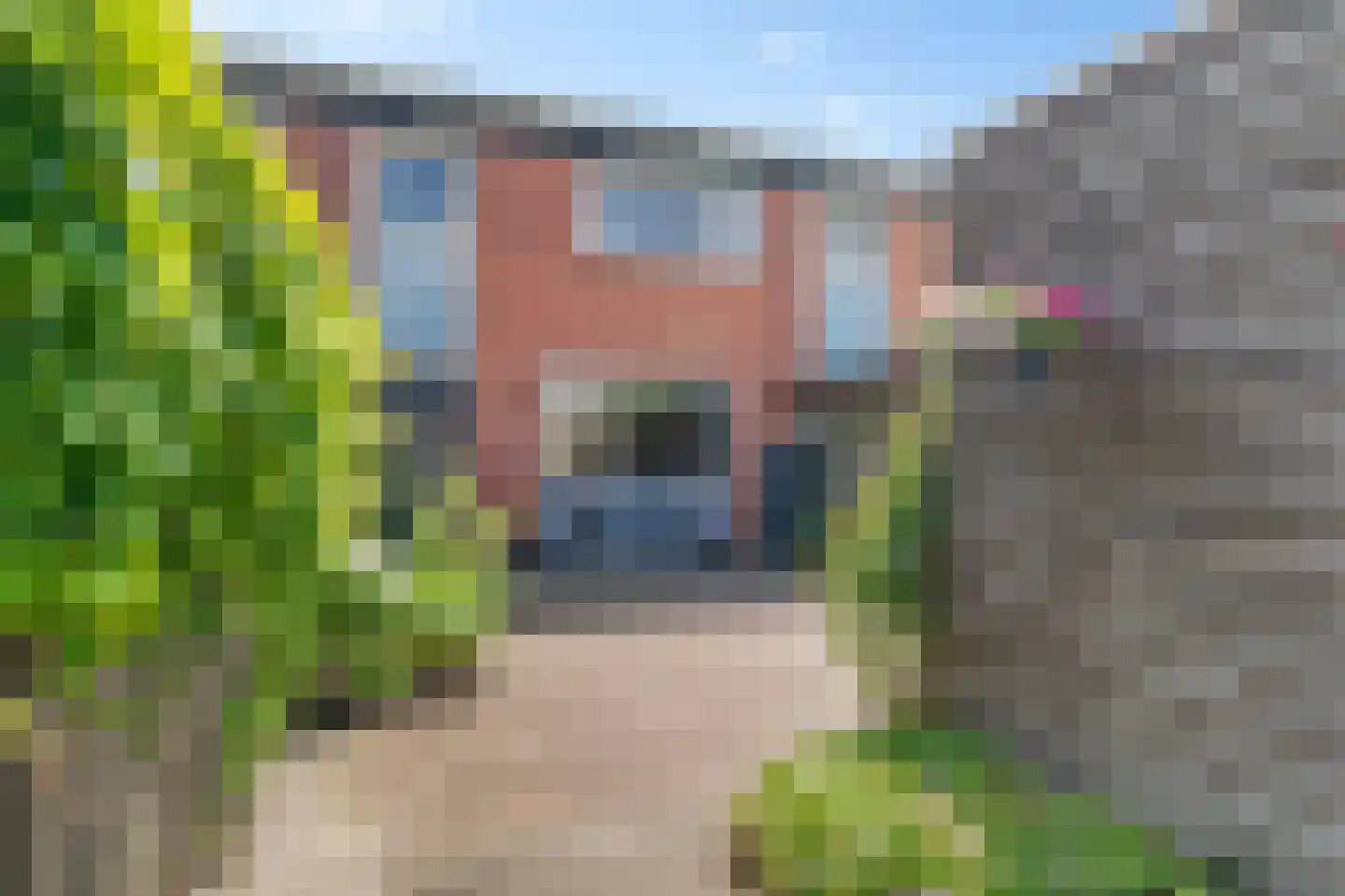 Kolibrievlinder 35 Enschede thumbnail 34
