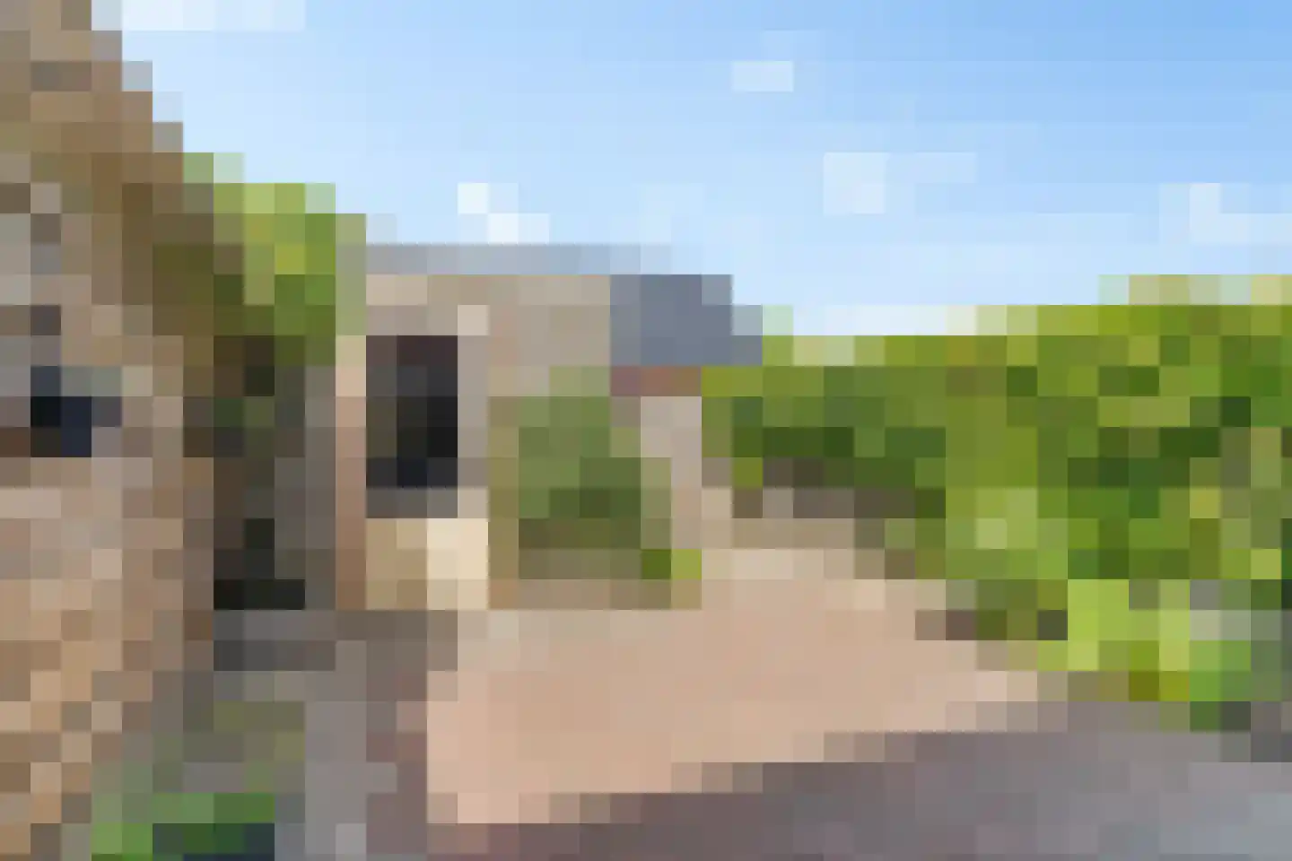Kolibrievlinder 35 Enschede thumbnail 36