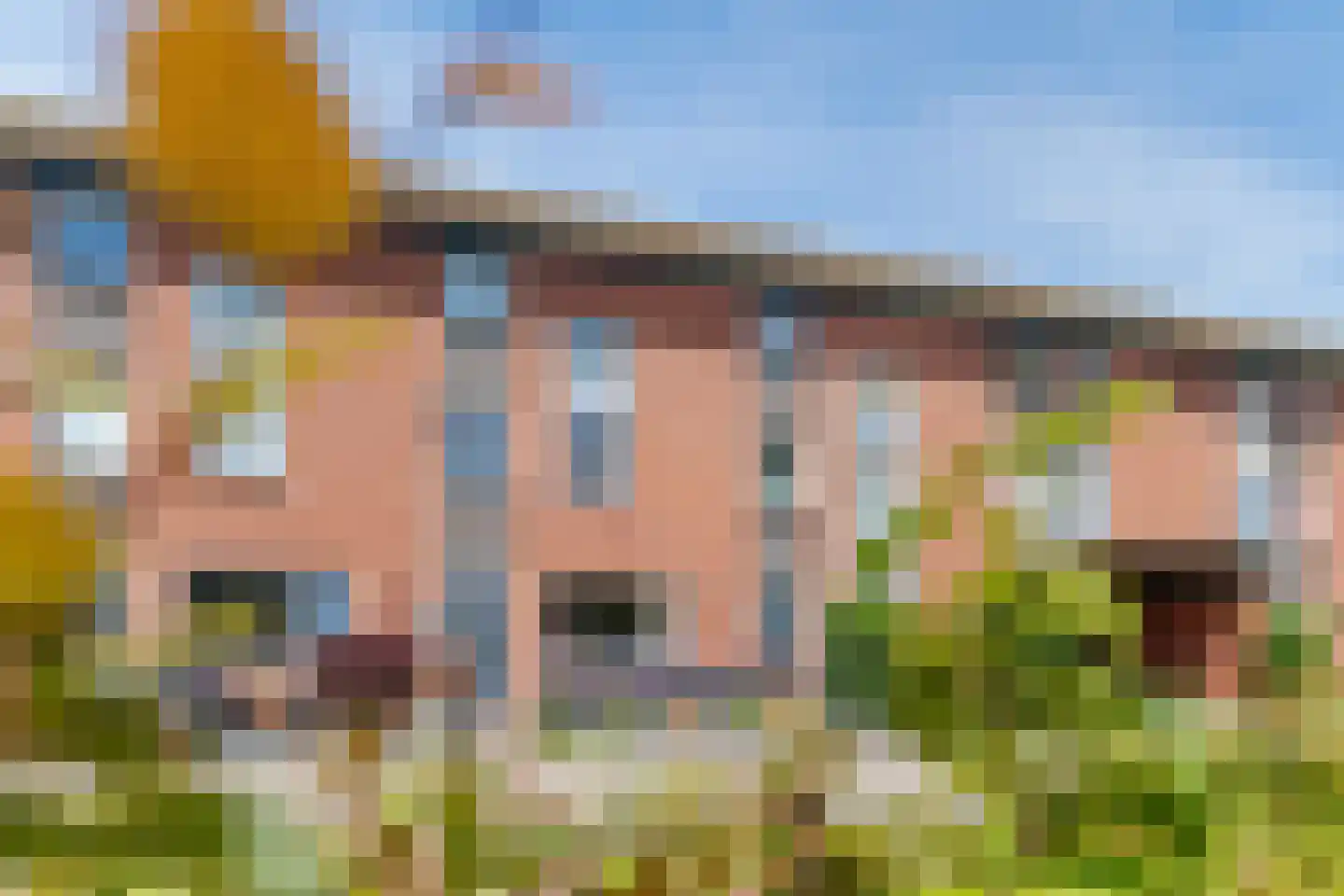 Kolibrievlinder 35 Enschede thumbnail 38