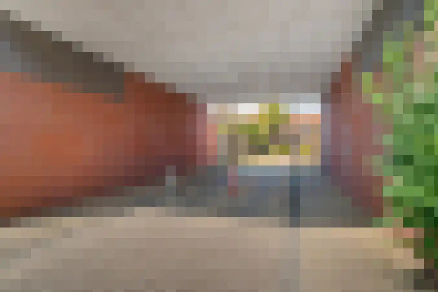 Kolibrievlinder 35 Enschede thumbnail 42