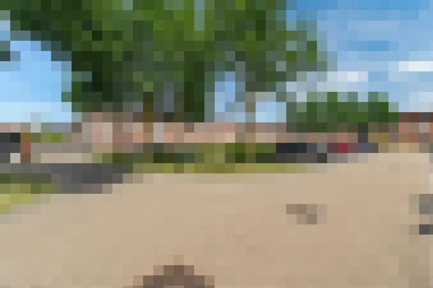 Kolibrievlinder 35 Enschede thumbnail 44