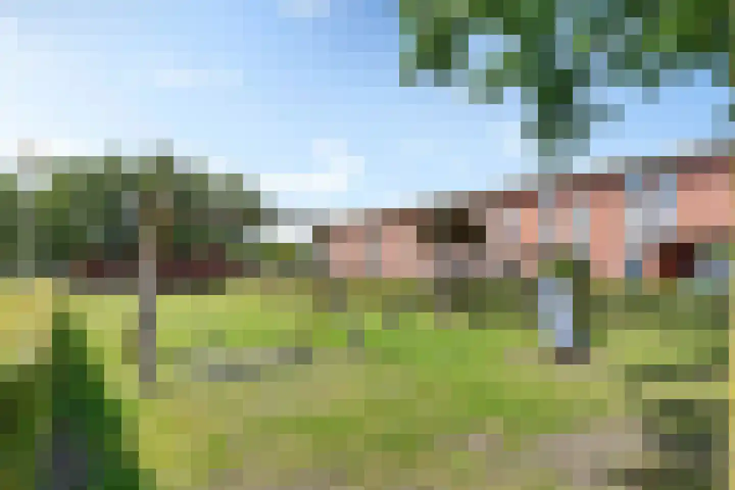 Kolibrievlinder 35 Enschede thumbnail 6