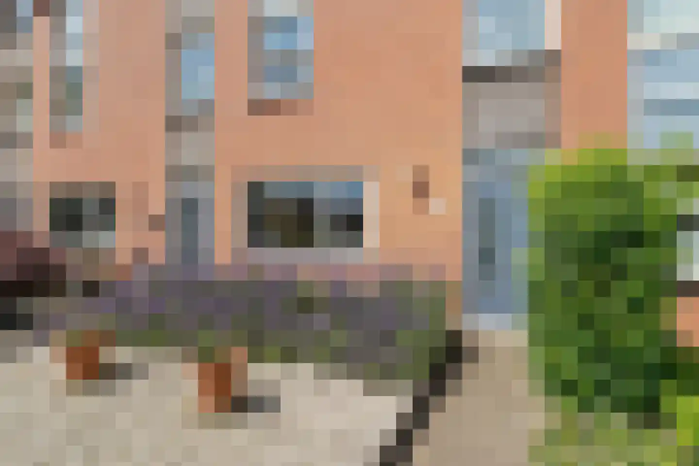 Kolibrievlinder 35 Enschede thumbnail 9