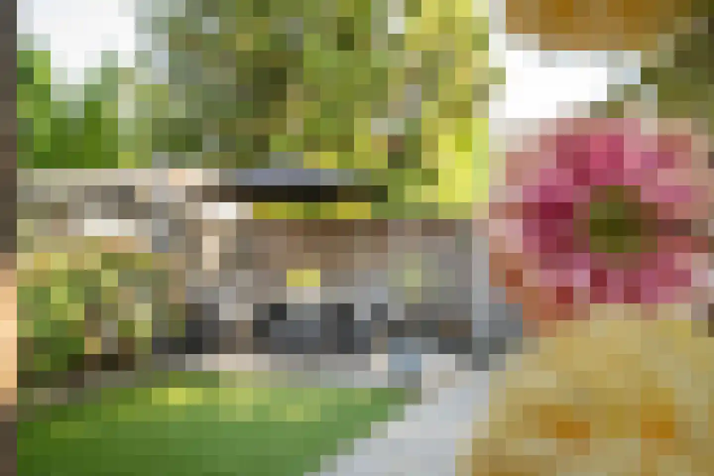 Kolibrievlinder 91 Enschede thumbnail 10