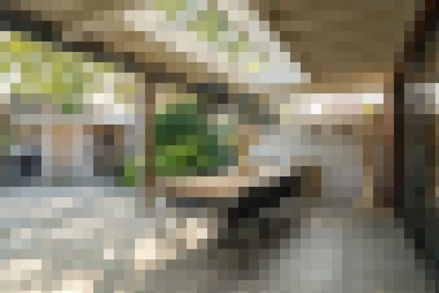 Kolibrievlinder 91 Enschede thumbnail 34