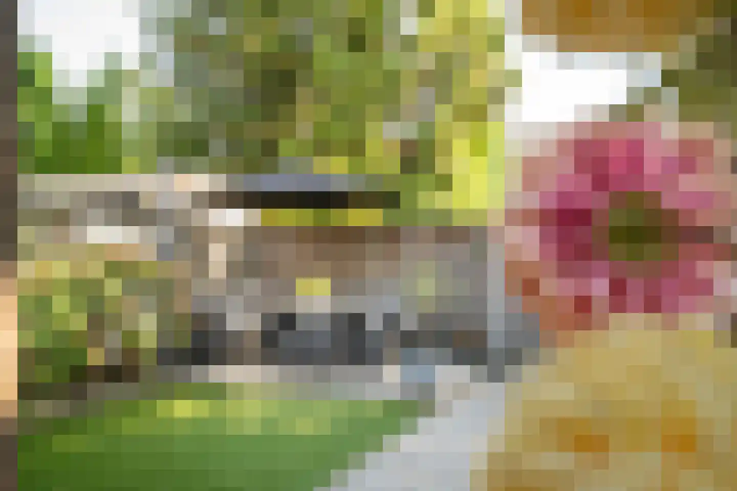Kolibrievlinder 91 Enschede thumbnail 35