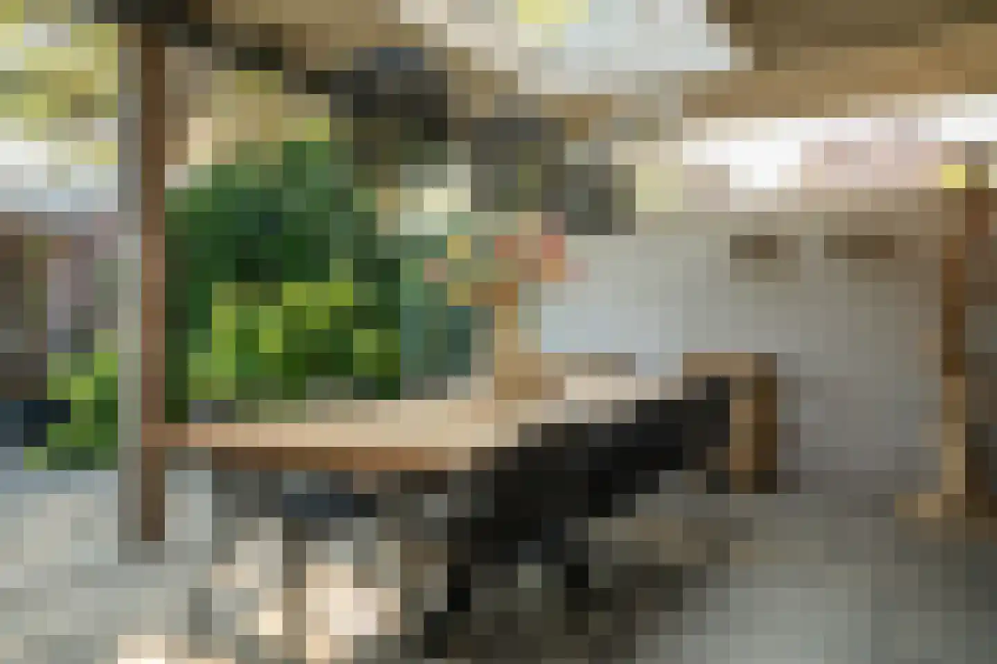 Kolibrievlinder 91 Enschede thumbnail 36