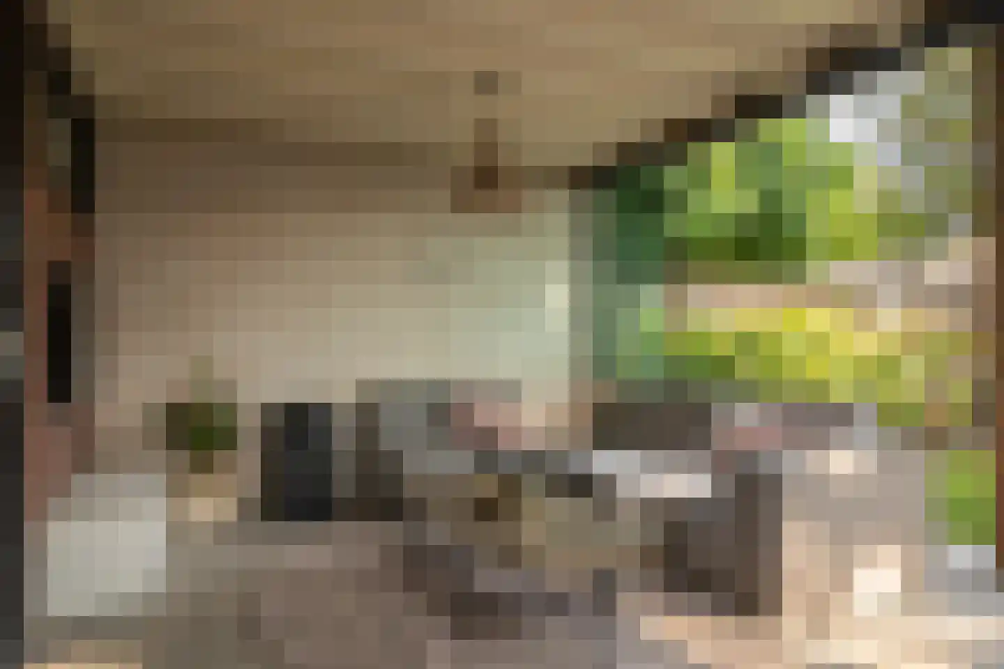 Kolibrievlinder 91 Enschede thumbnail 37
