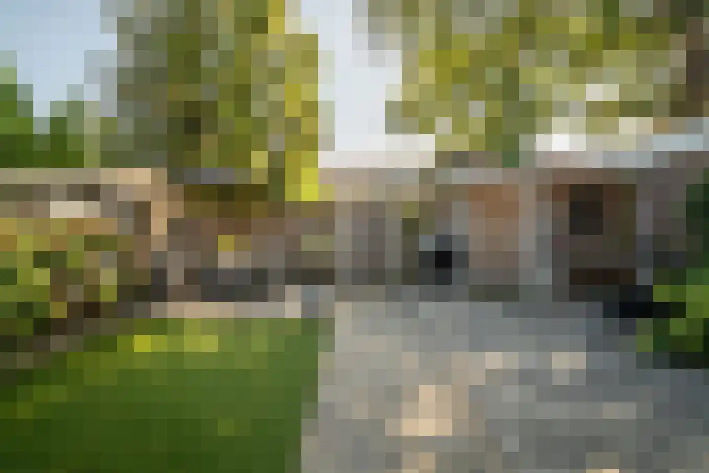 Kolibrievlinder 91 Enschede thumbnail 39