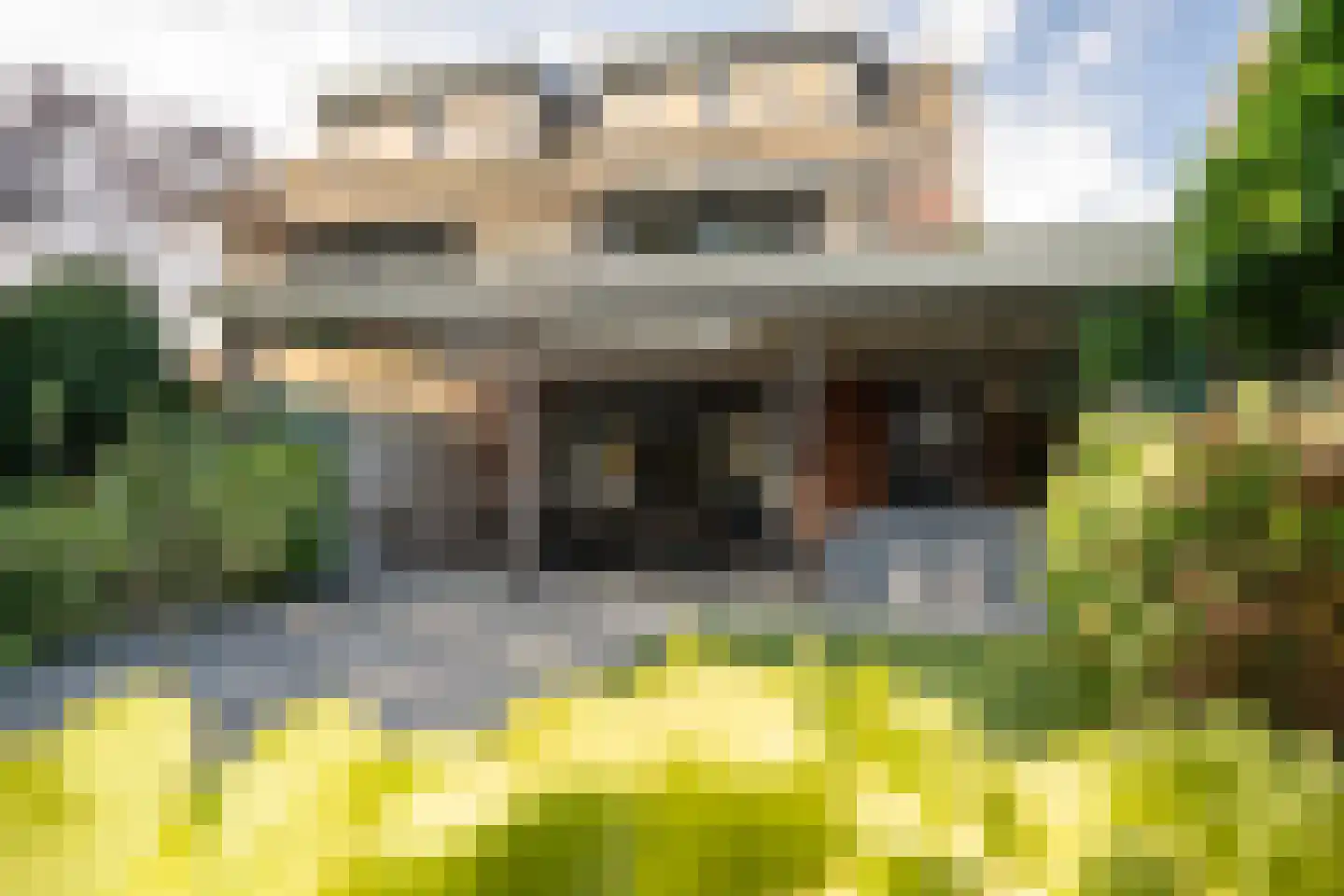Kolibrievlinder 91 Enschede thumbnail 4