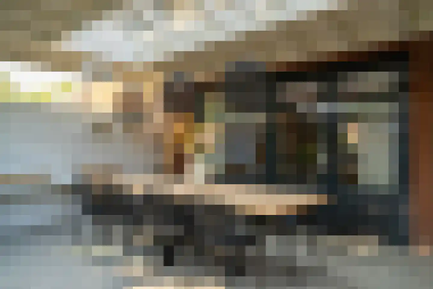 Kolibrievlinder 91 Enschede thumbnail 40