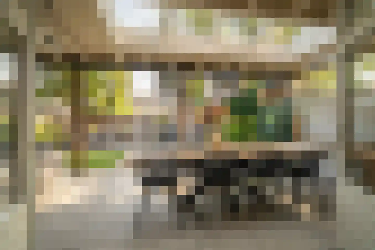 Kolibrievlinder 91 Enschede thumbnail 42