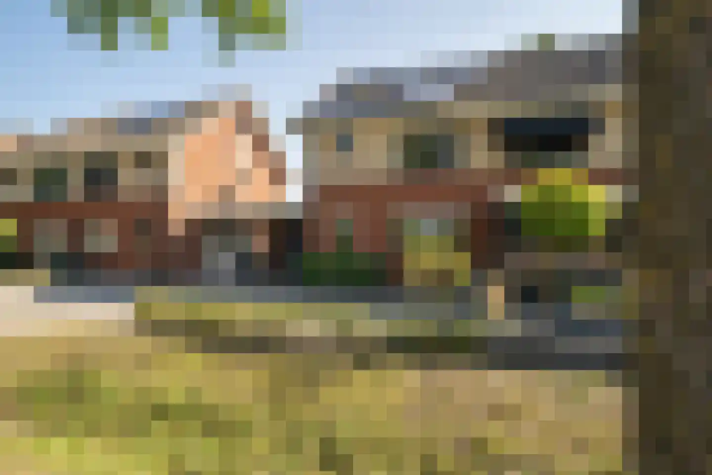 Kolibrievlinder 91 Enschede thumbnail 47