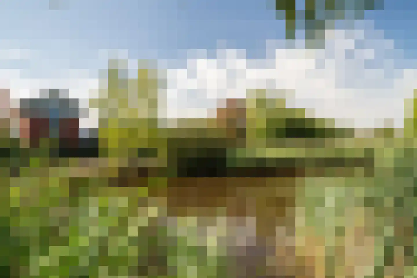 Kolibrievlinder 91 Enschede thumbnail 48