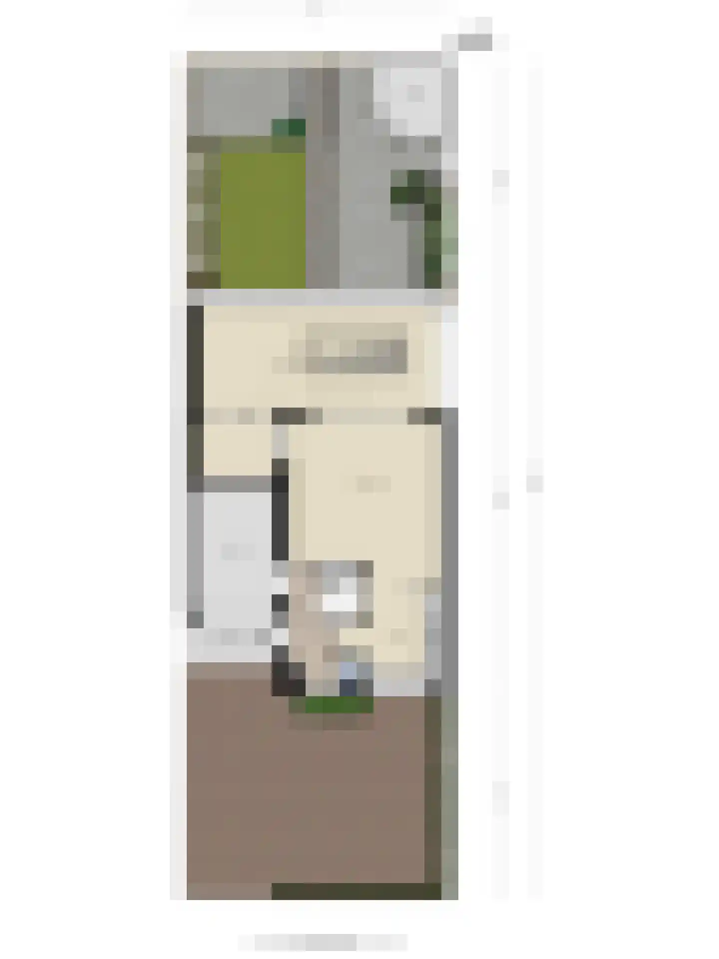 Kolibrievlinder 91 Enschede thumbnail 50