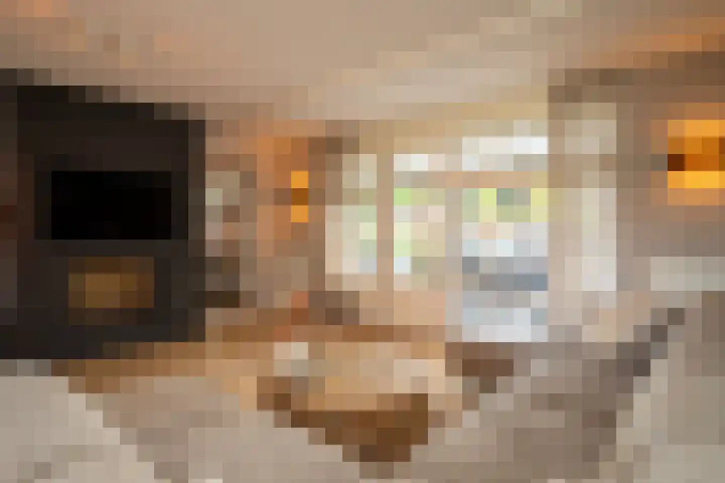 Kolibrievlinder 91 Enschede thumbnail 9