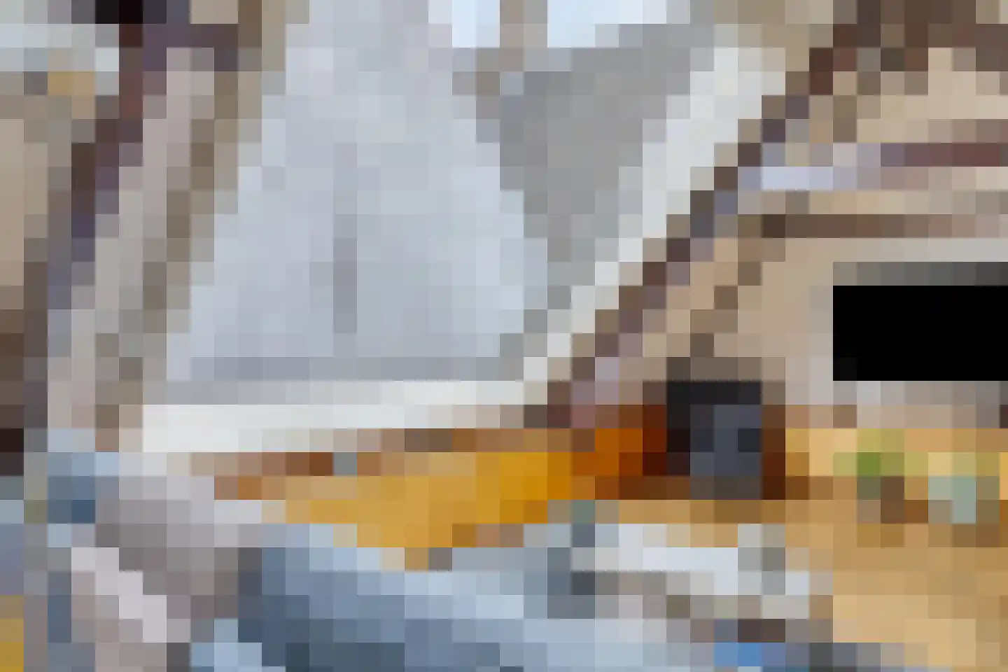 Kolk 12 Delft thumbnail 44