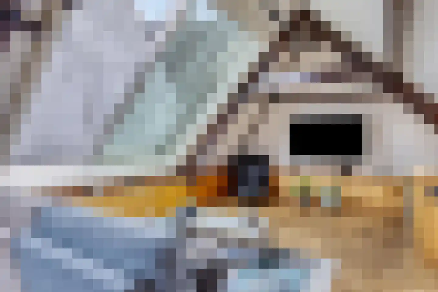 Kolk 12 Delft thumbnail 46