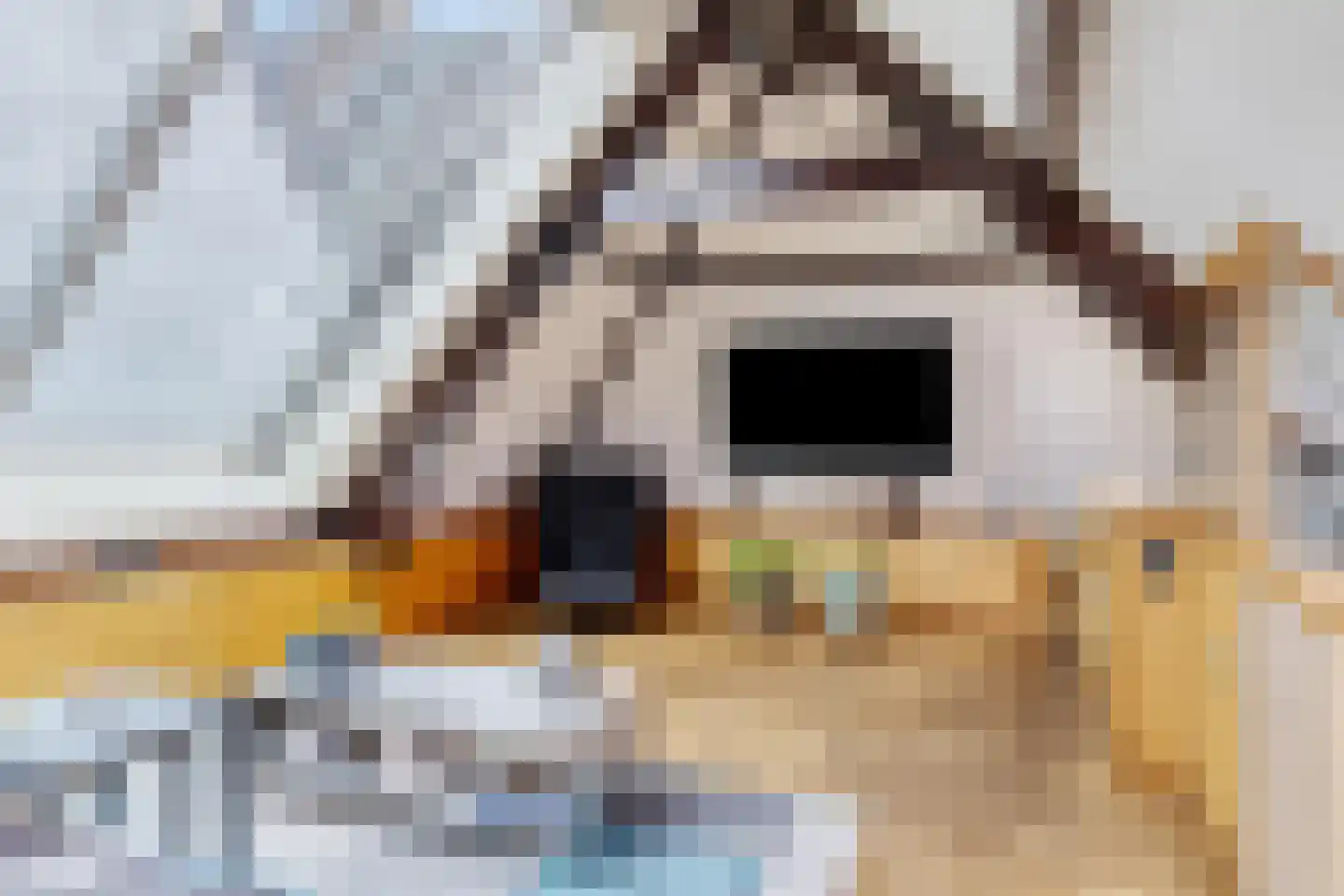 Kolk 12 Delft thumbnail 47
