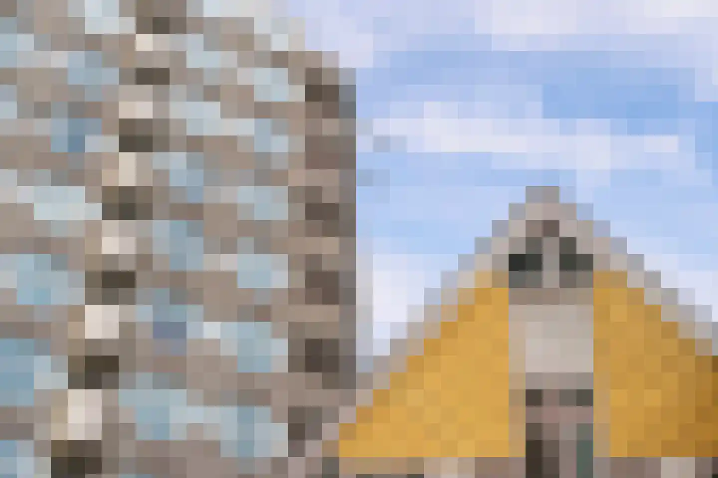 Kolk 132 Rotterdam thumbnail 27