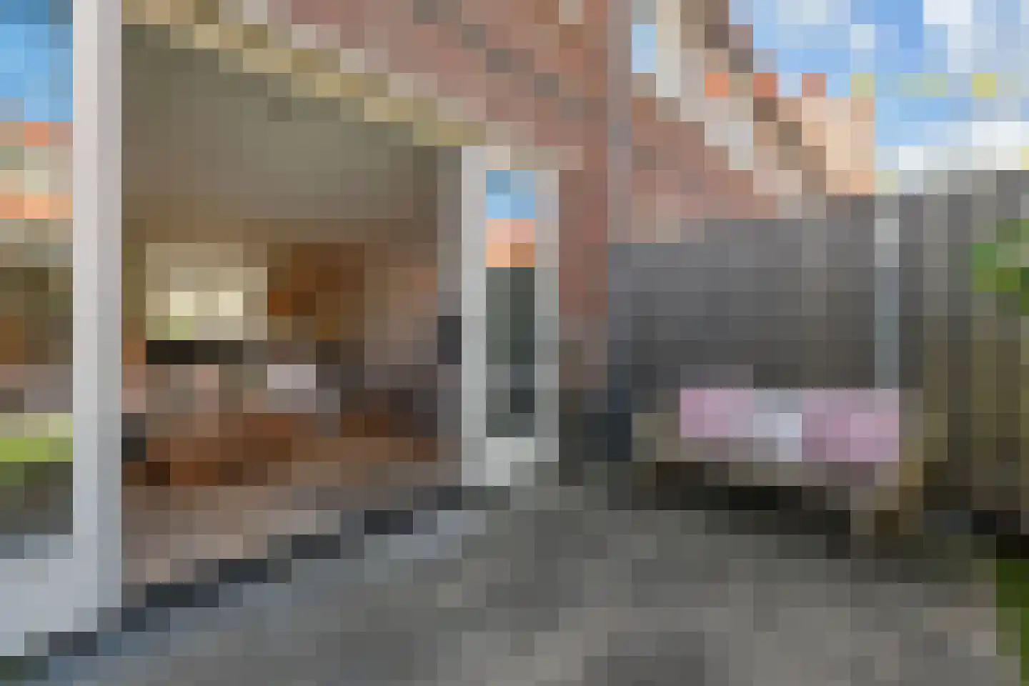 Kolk 19 Poeldijk thumbnail 13