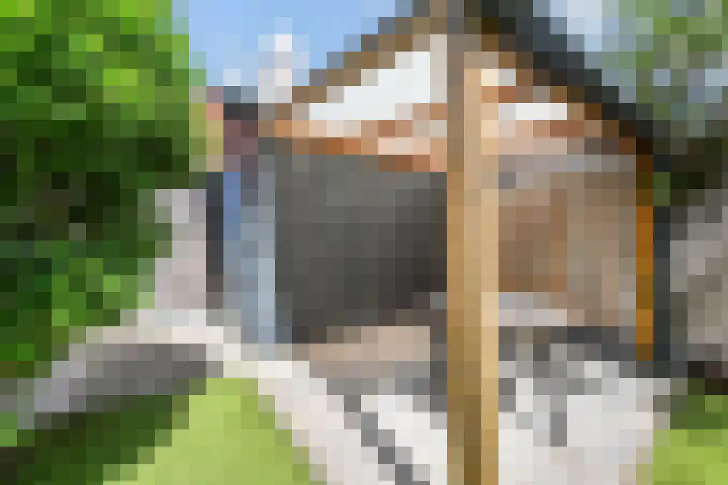 Kolk 19 Poeldijk thumbnail 31