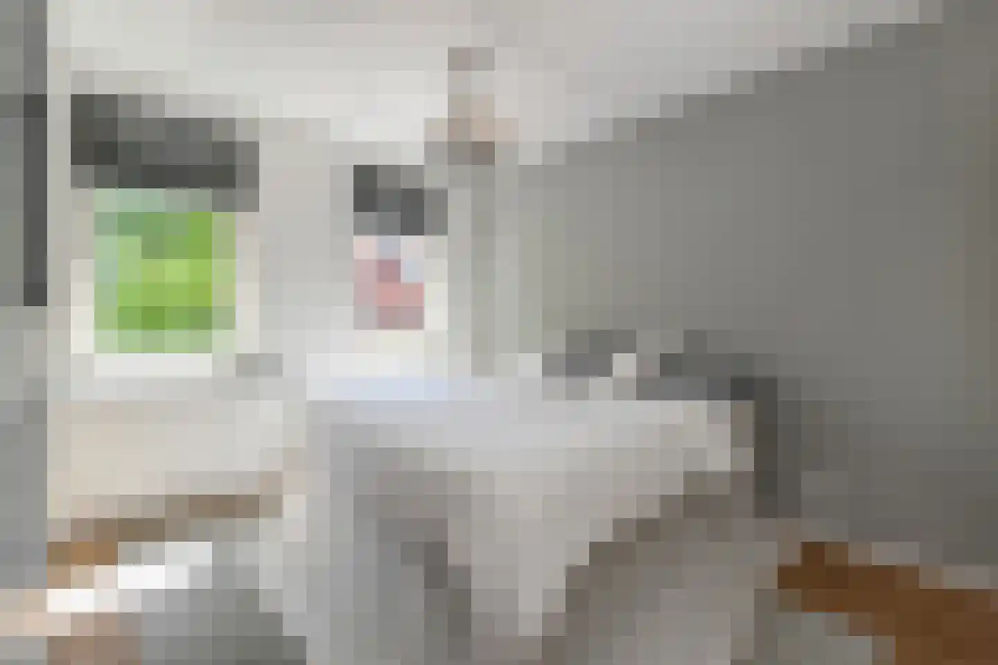 Kolk 19 Poeldijk thumbnail 34