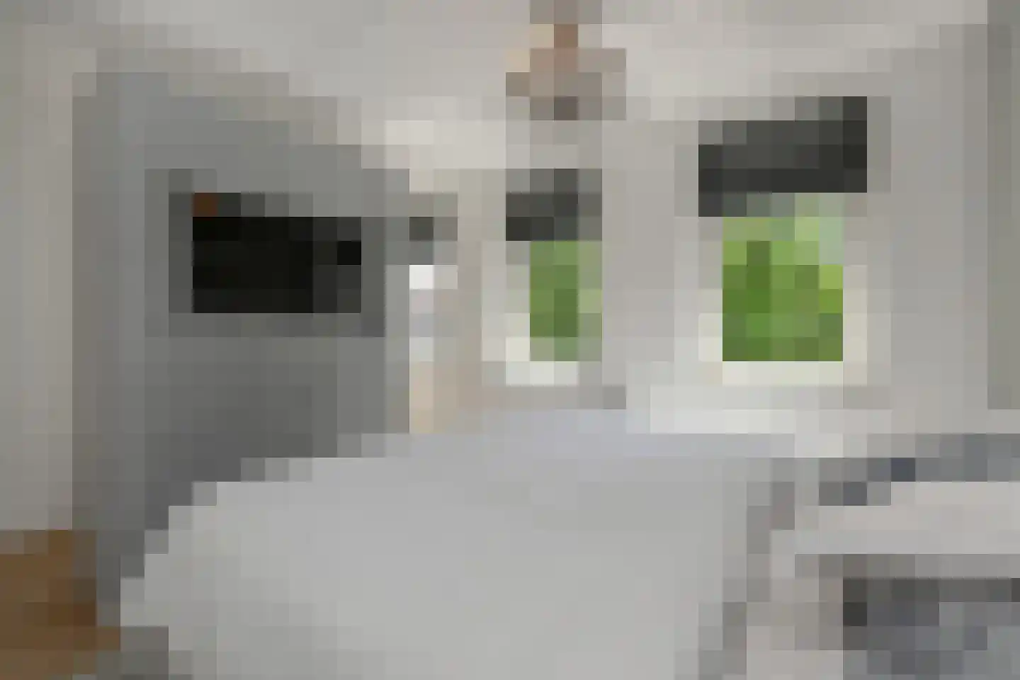 Kolk 19 Poeldijk thumbnail 35