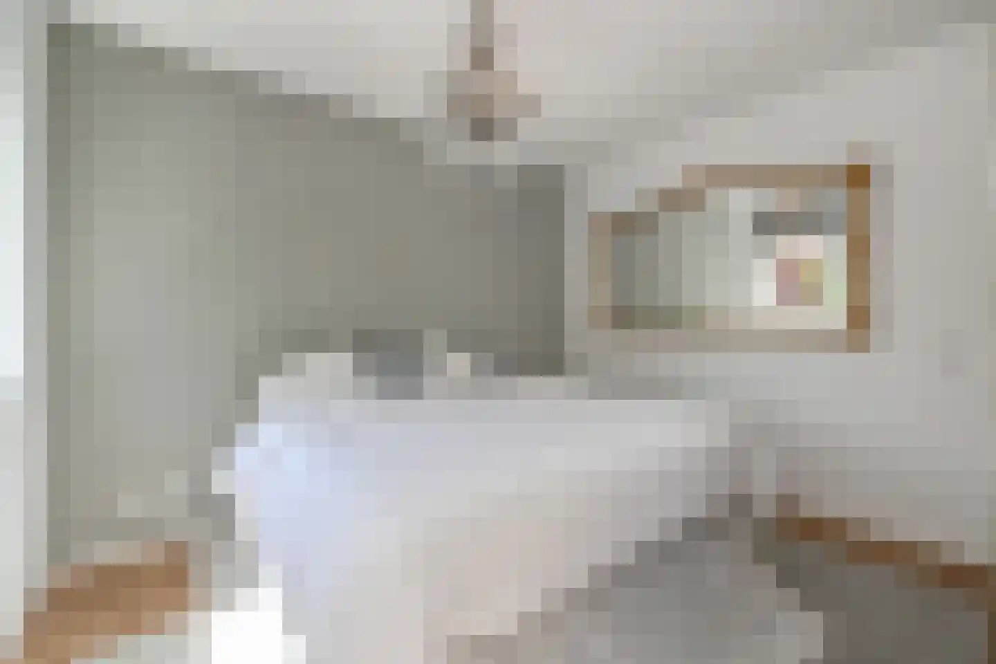 Kolk 19 Poeldijk thumbnail 36