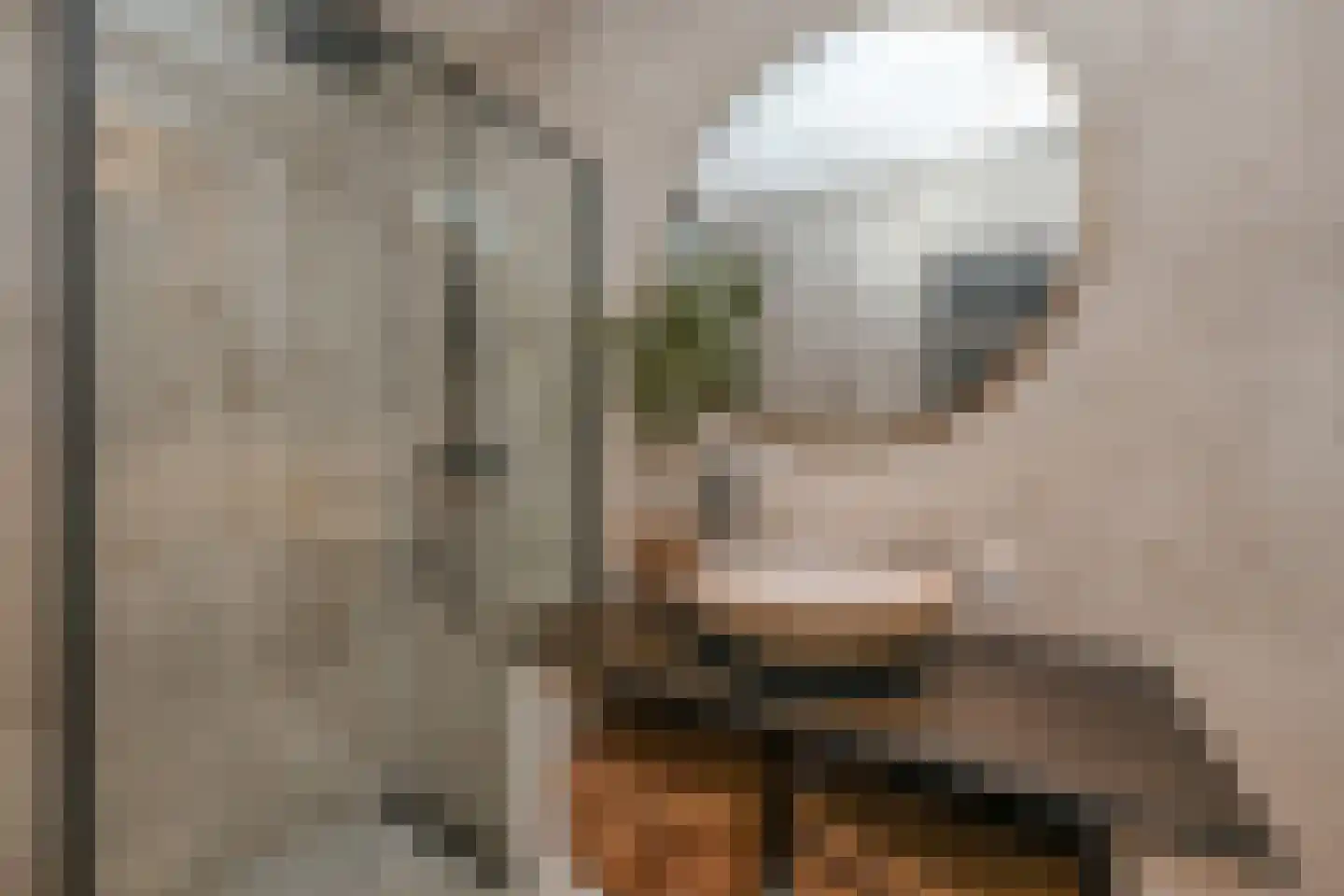Kolk 19 Poeldijk thumbnail 37