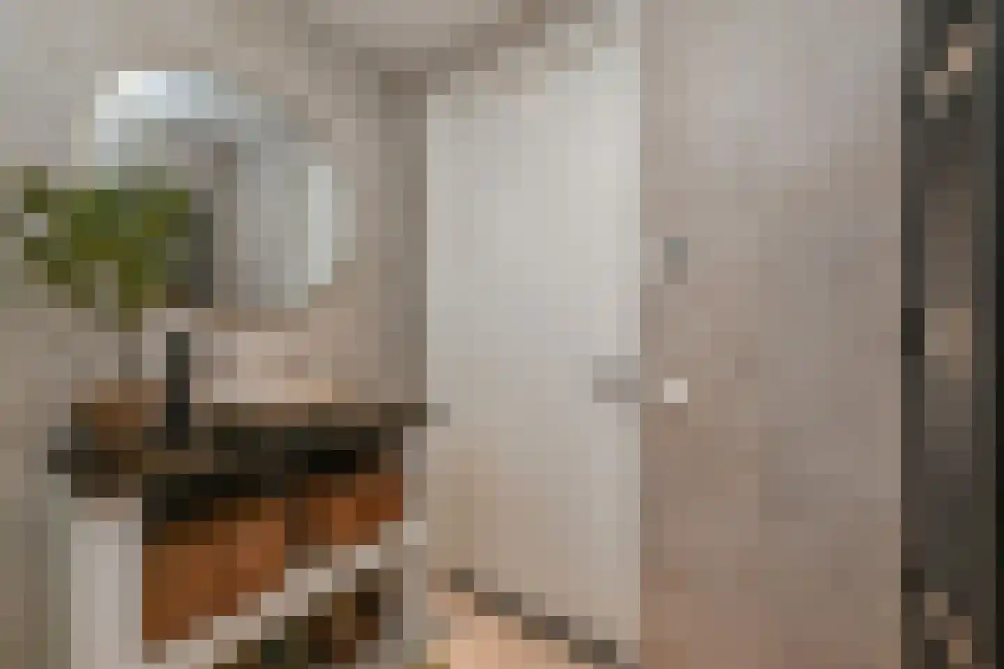 Kolk 19 Poeldijk thumbnail 39