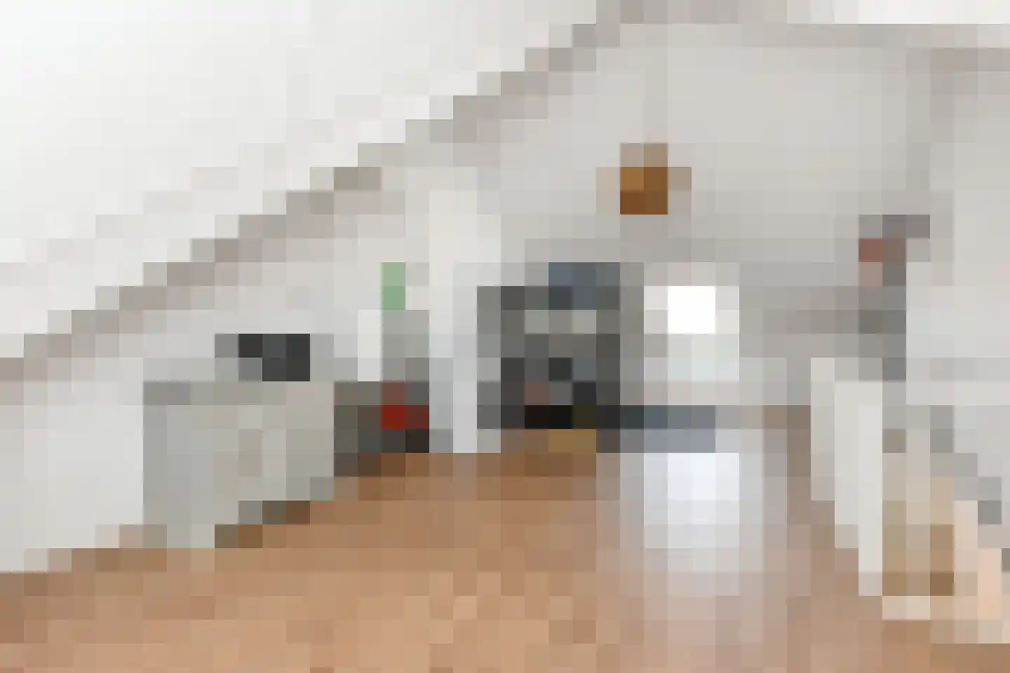 Kolk 19 Poeldijk thumbnail 48