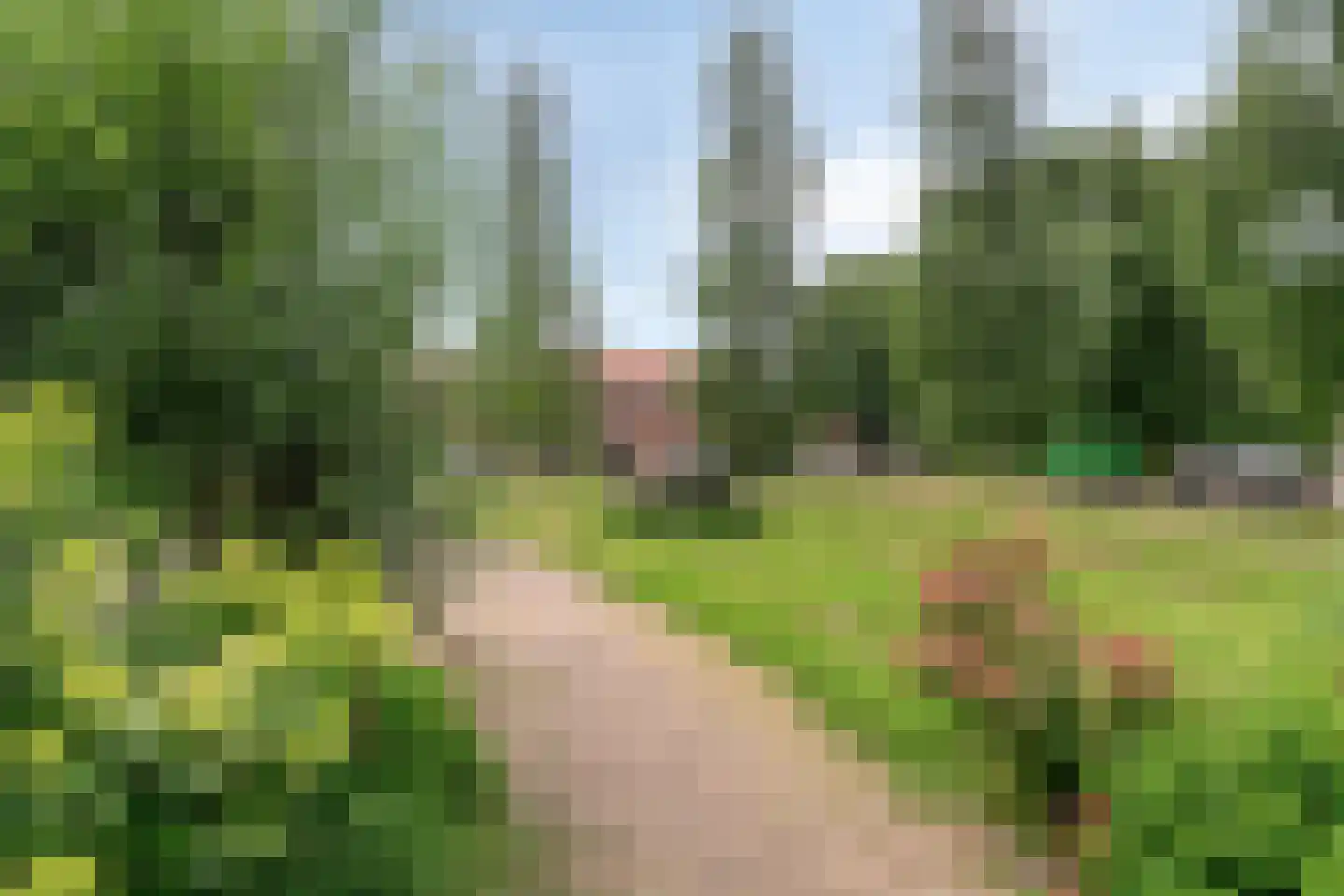 Kolk 21 Scheerwolde thumbnail 32