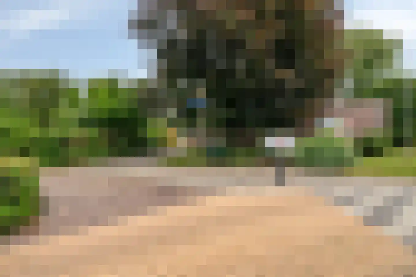 Kolk 21 Scheerwolde thumbnail 33