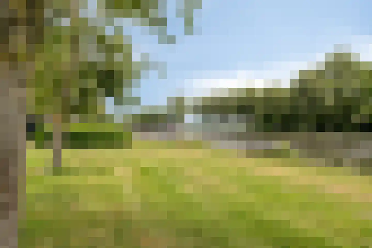 Kolk 21 Scheerwolde thumbnail 36