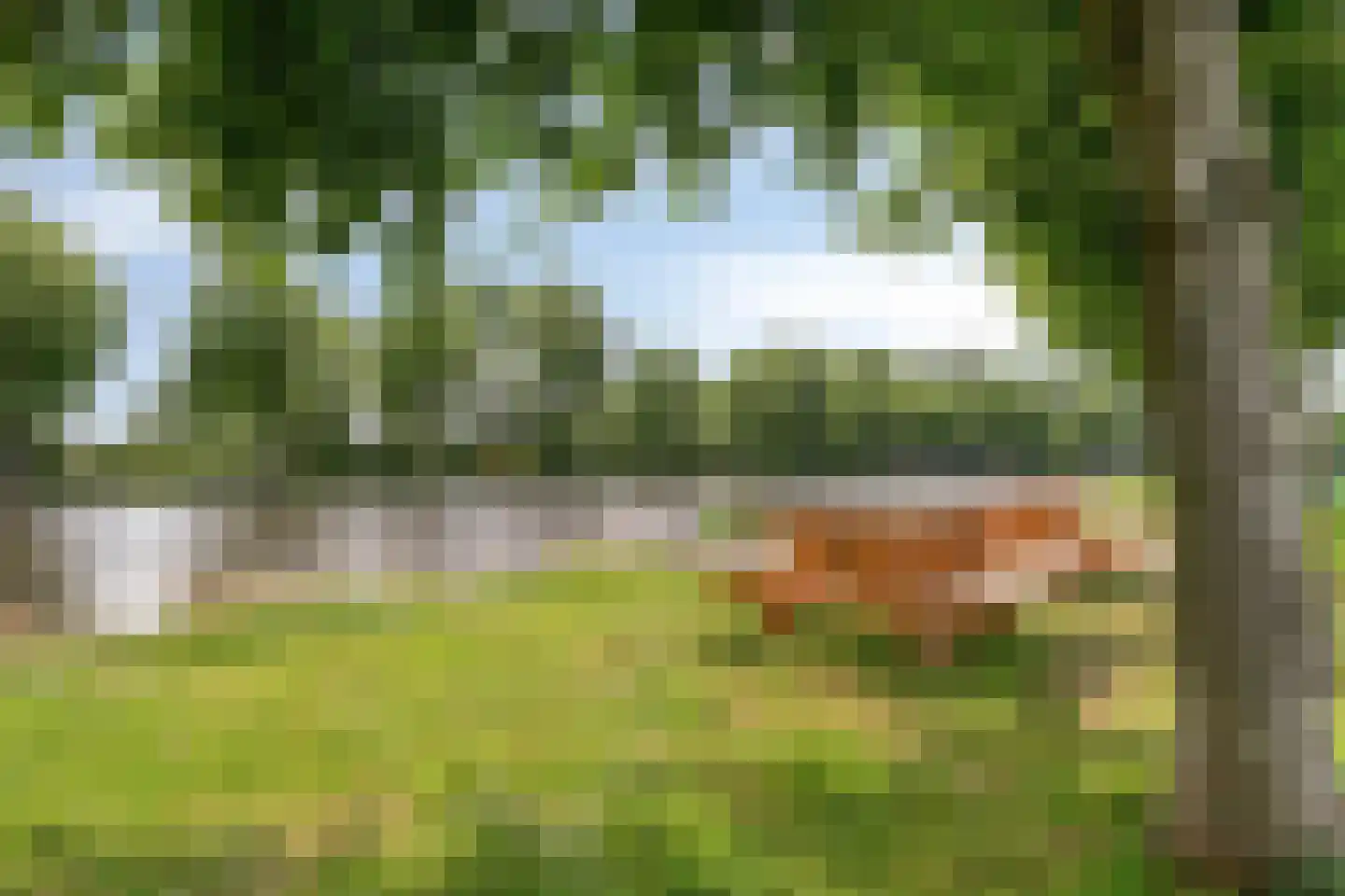Kolk 21 Scheerwolde thumbnail 37