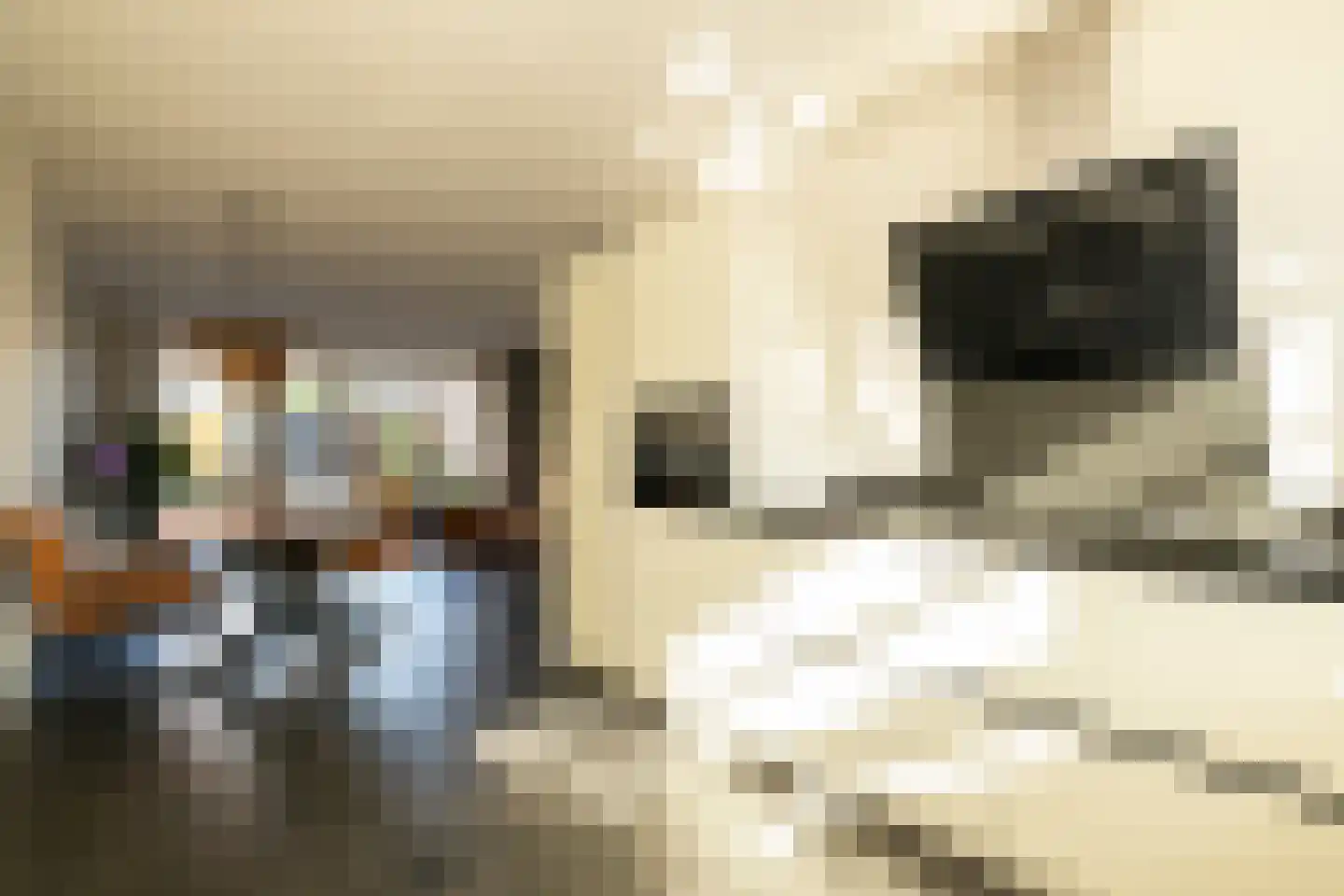 Kolk 23 Poeldijk thumbnail 10