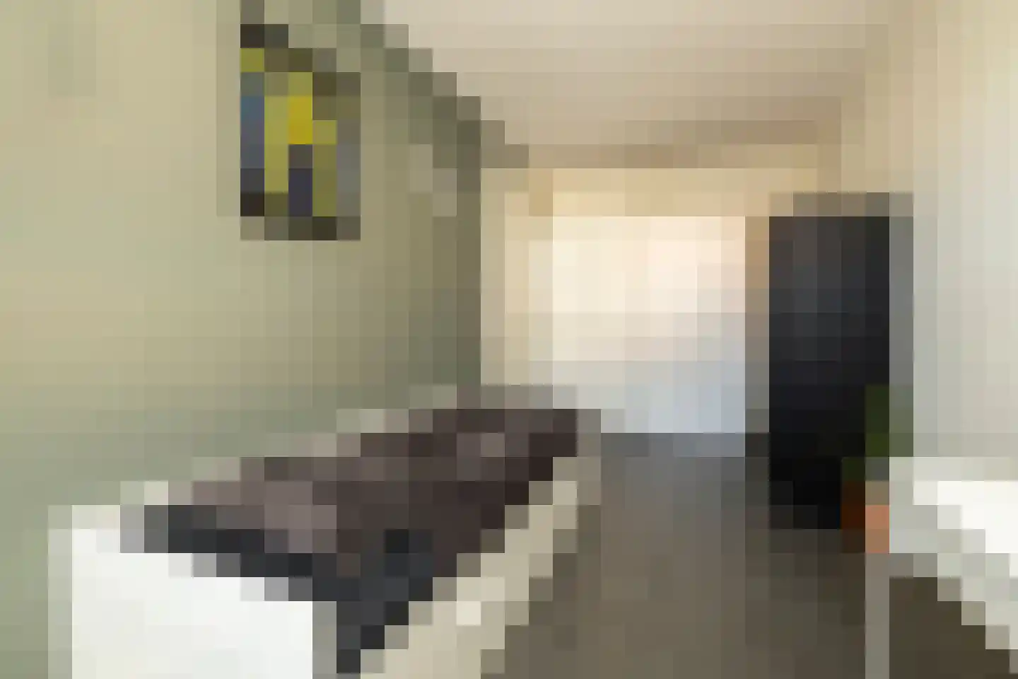 Kolk 23 Poeldijk thumbnail 17