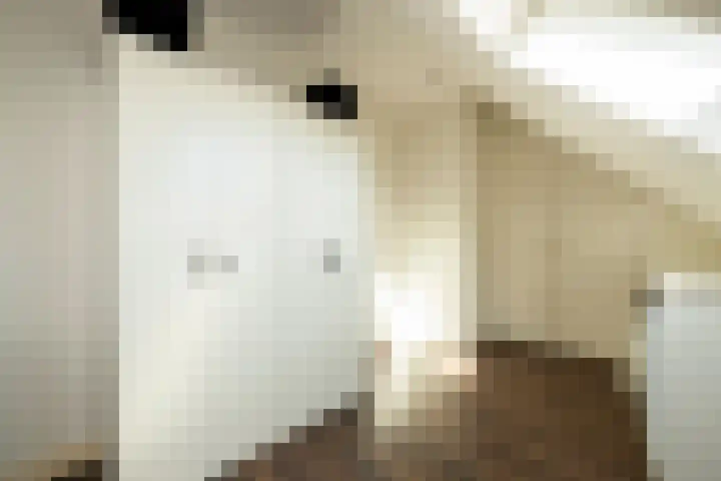 Kolk 23 Poeldijk thumbnail 32