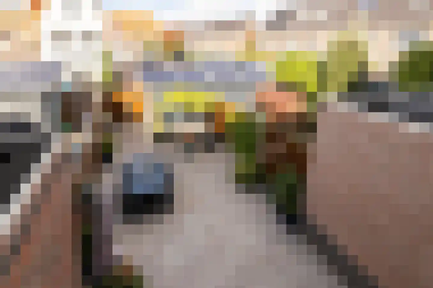 Kolk 23 Poeldijk thumbnail 34
