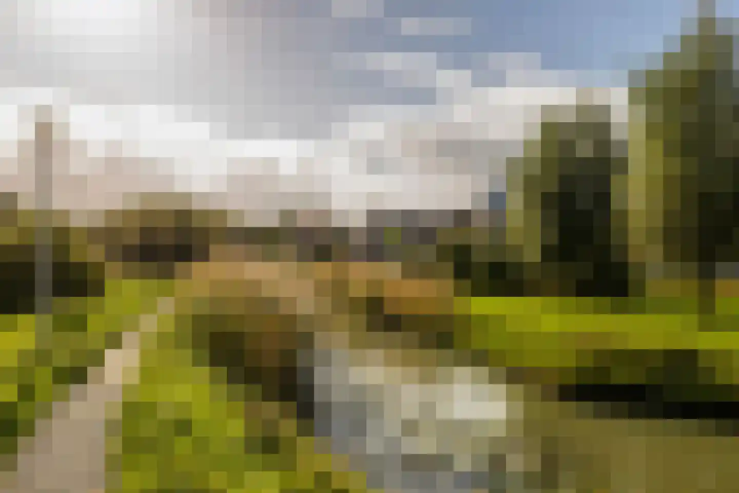 Kolk 23 Poeldijk thumbnail 43