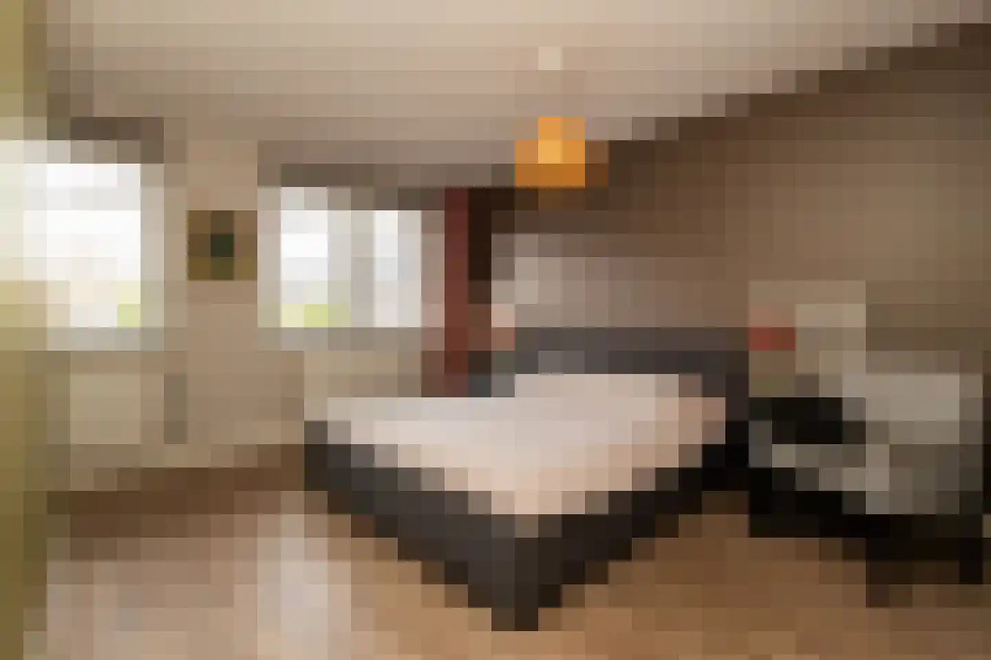 Kolk 25 Poeldijk thumbnail 17