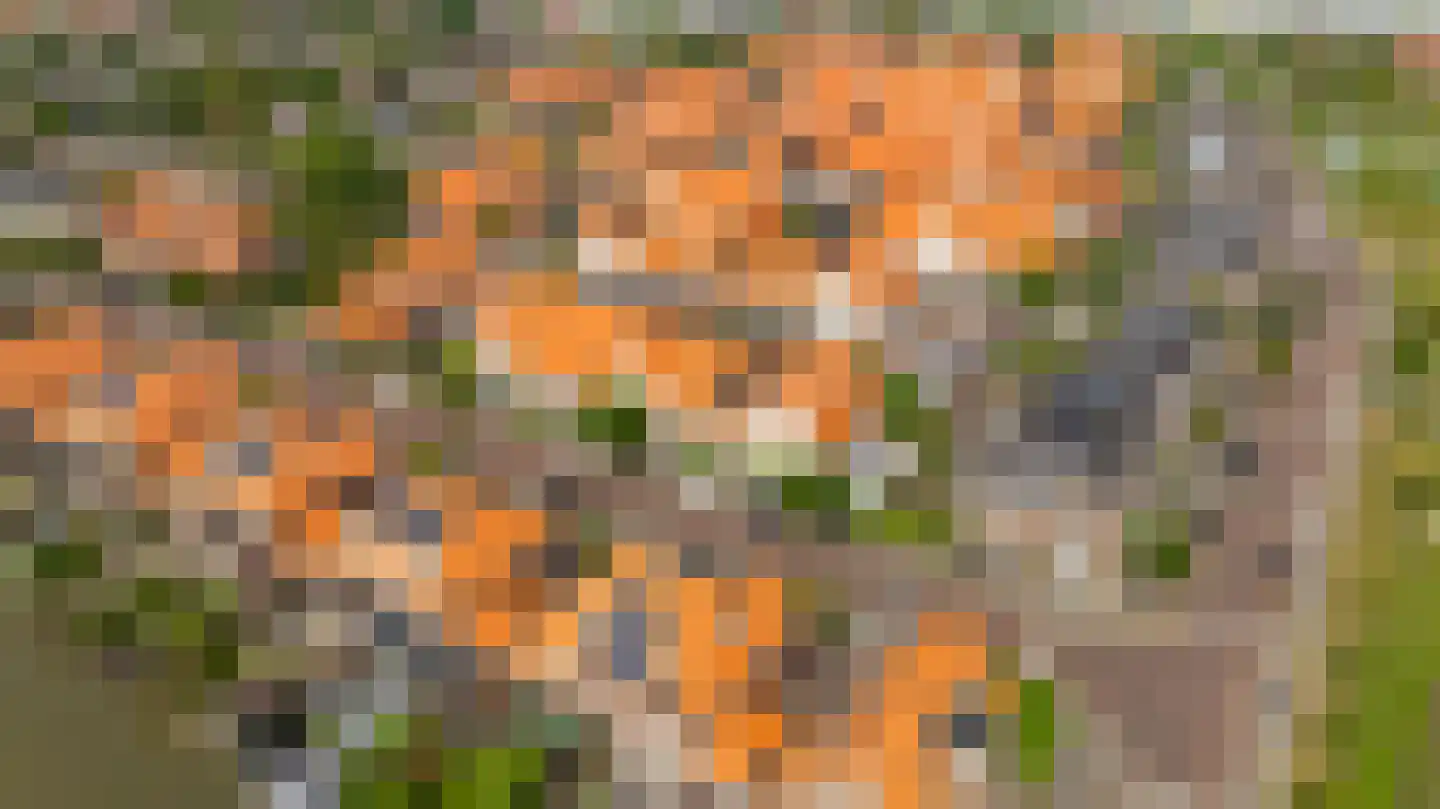 Kolk 25 Poeldijk thumbnail 32