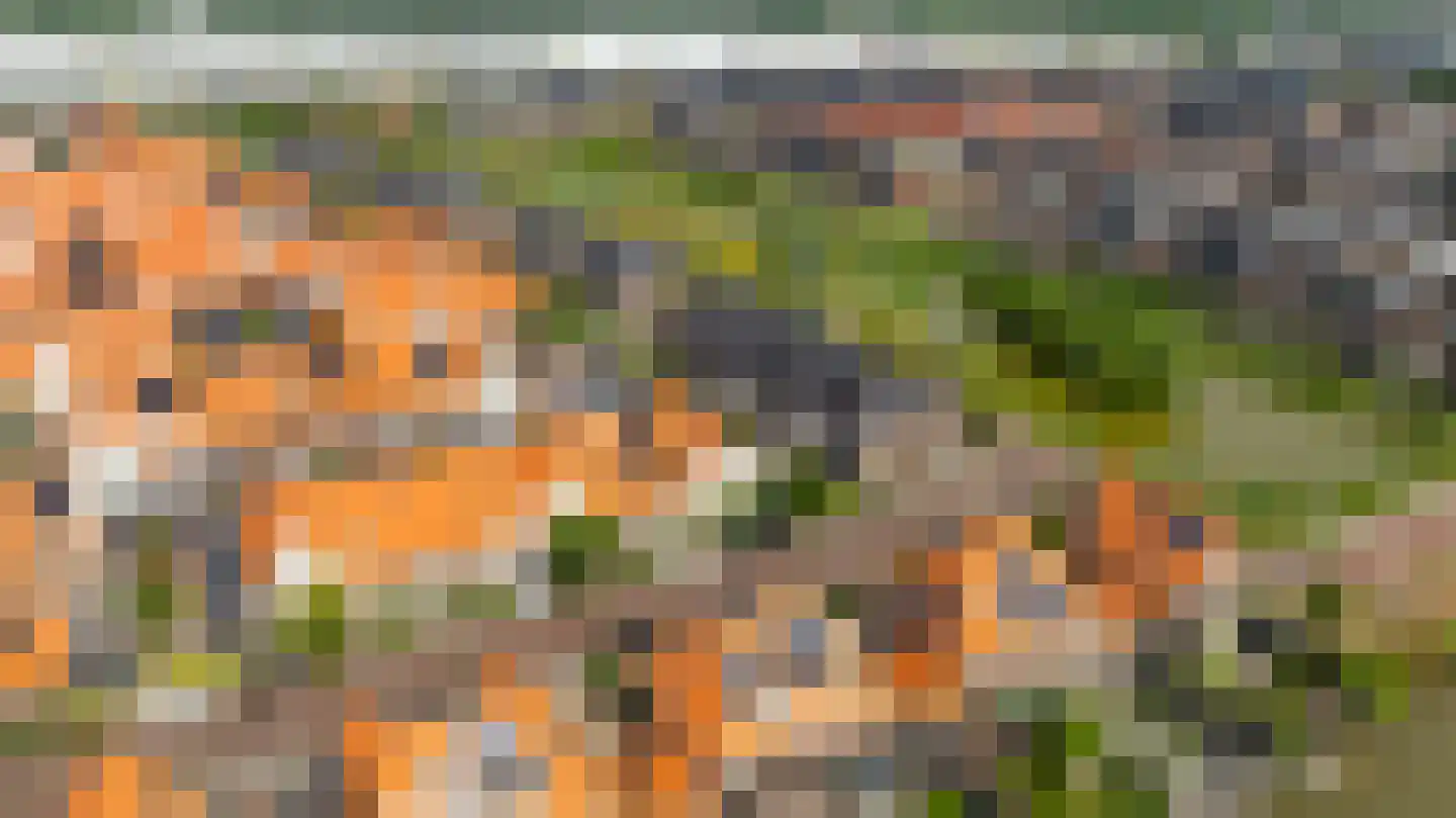 Kolk 25 Poeldijk thumbnail 33