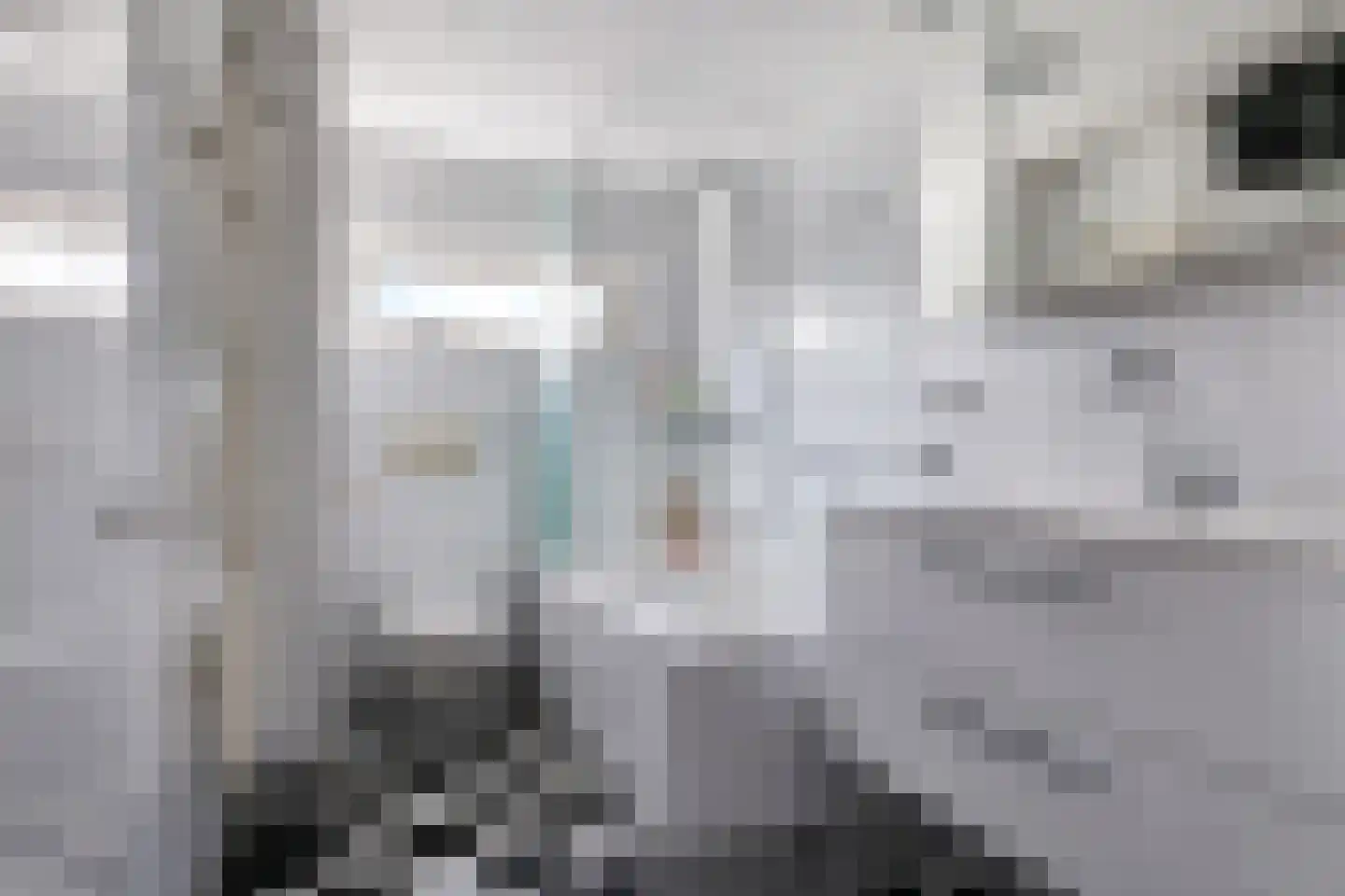 Kolk 28 Huissen thumbnail 43