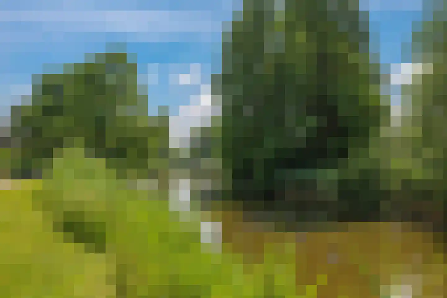 Kolk 28 Huissen thumbnail 68