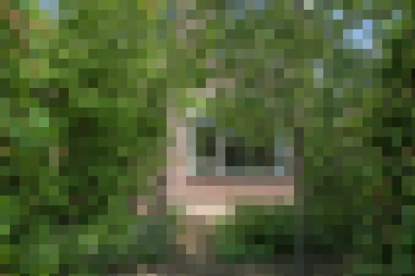 Kolk 28 Huissen thumbnail 9