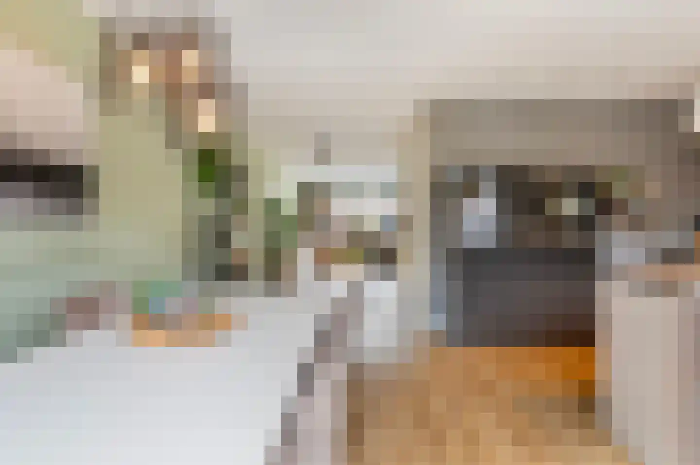 Kolk 5 Borne thumbnail 13